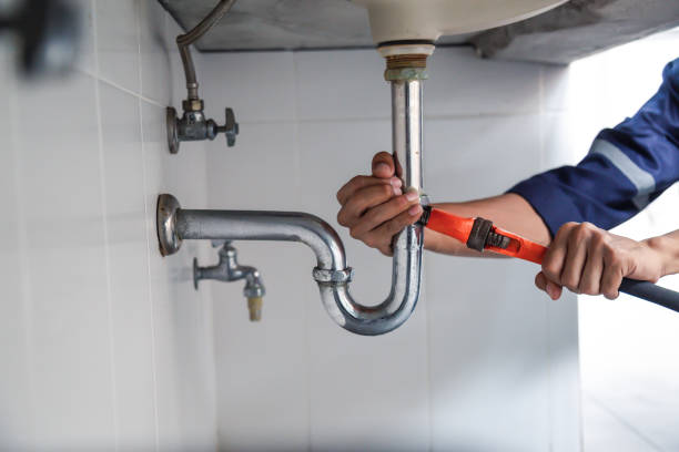 Best Sprinkler Systems  in White Cloud, MI
