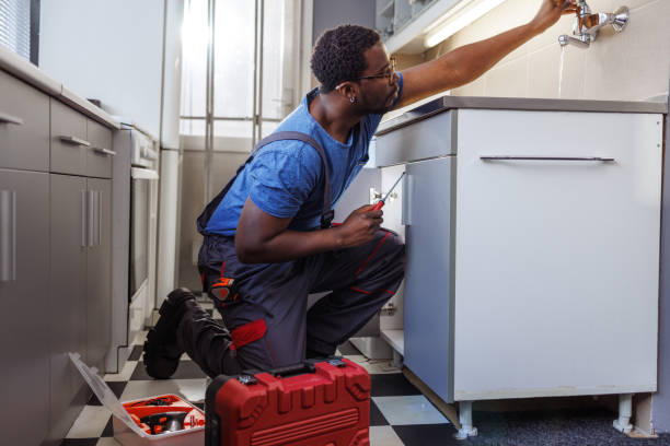 Best Plumbing Services Near Me  in White Cloud, MI